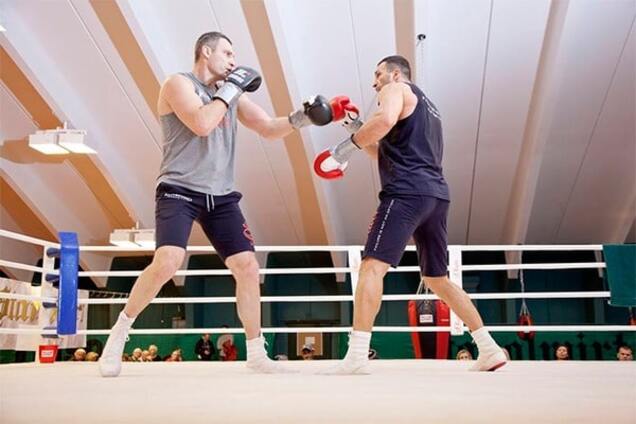 Кто сильнее: двукратный чемпион мира сравнил Владимира и Виталия Кличко