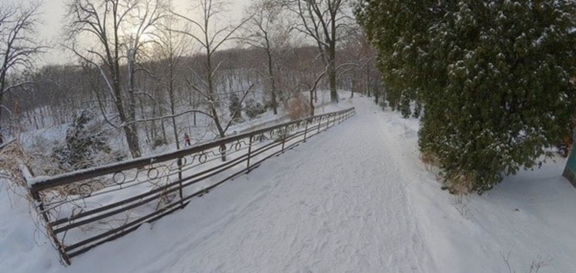 Зимний досуг: лучшие места Киева для катания на санках