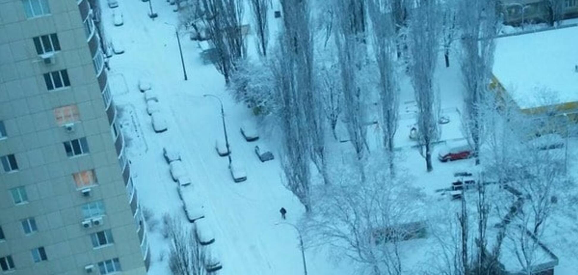 Киев за ночь обильно замело снегом: опубликованы фото и видео