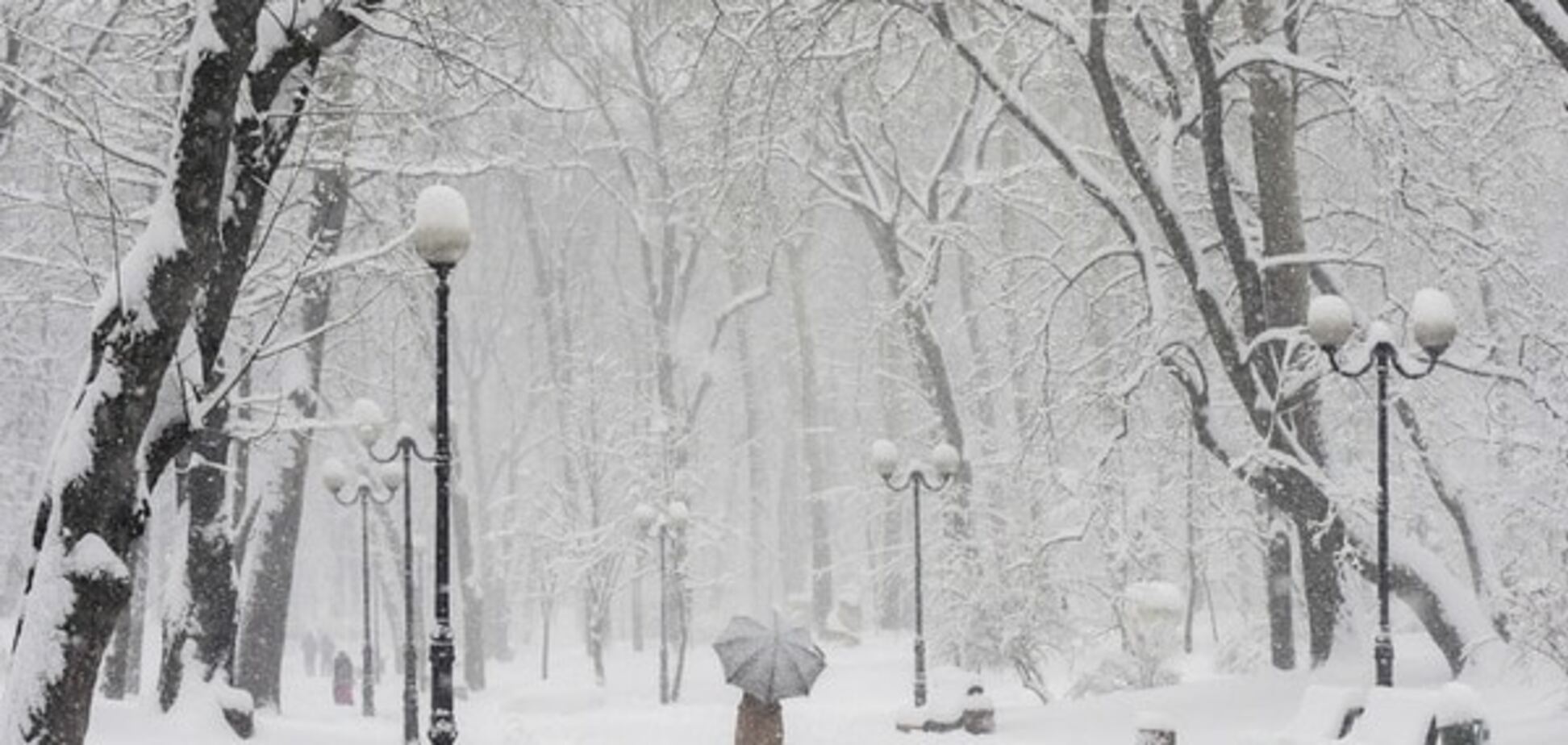 В ГосЧС подвели первые итоги ночного снегопада в Украине