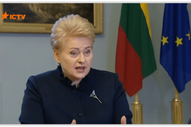 Грибаускайте рассказала, сможет ли Украина получить безвизовый режим в 2016 году