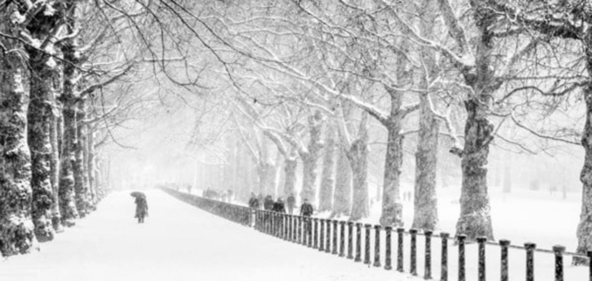 Зима в разгаре: синоптики предупредили о погоде в Украине на следующей неделе