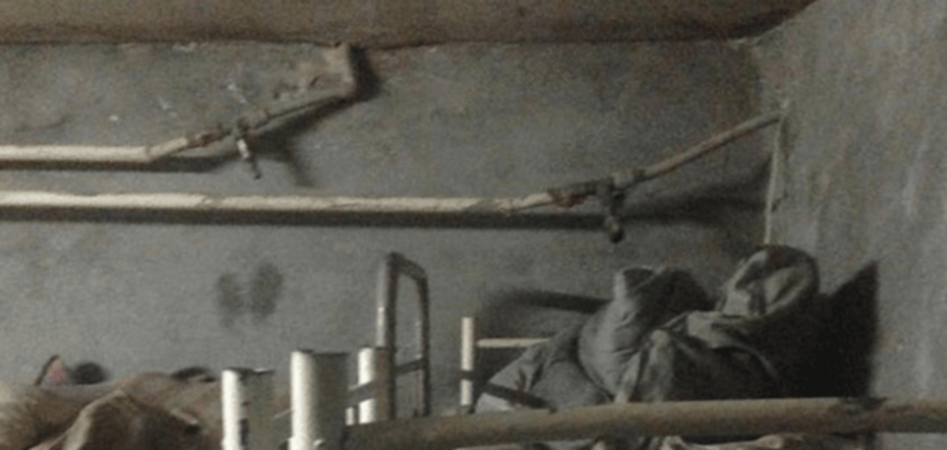 Как выглядят подвалы для пленных в 'ЛНР': опубликованы фото