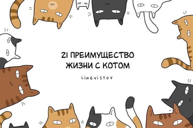 Все преимущества жизни с котом в веселых картинках