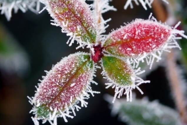 Украину ждут морозы до -25