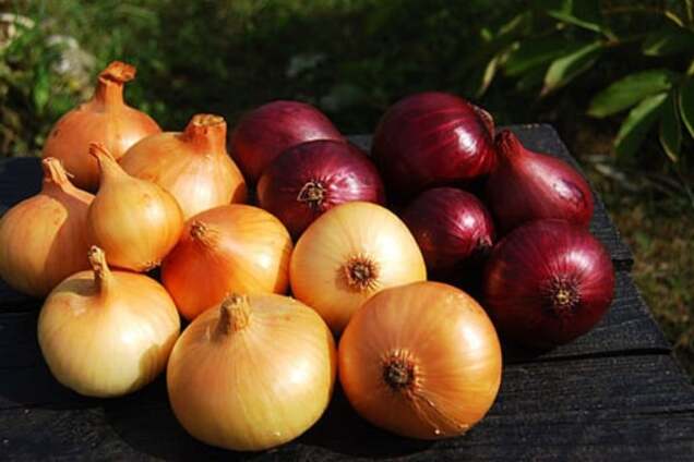 Обнародован список продуктов, которые запрещено ввозить в Украину из России