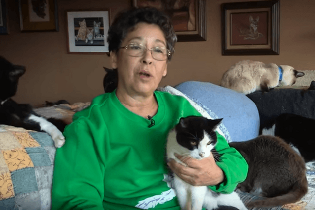В США пенсионерка живет дома с 1100 кошками: видеофакт