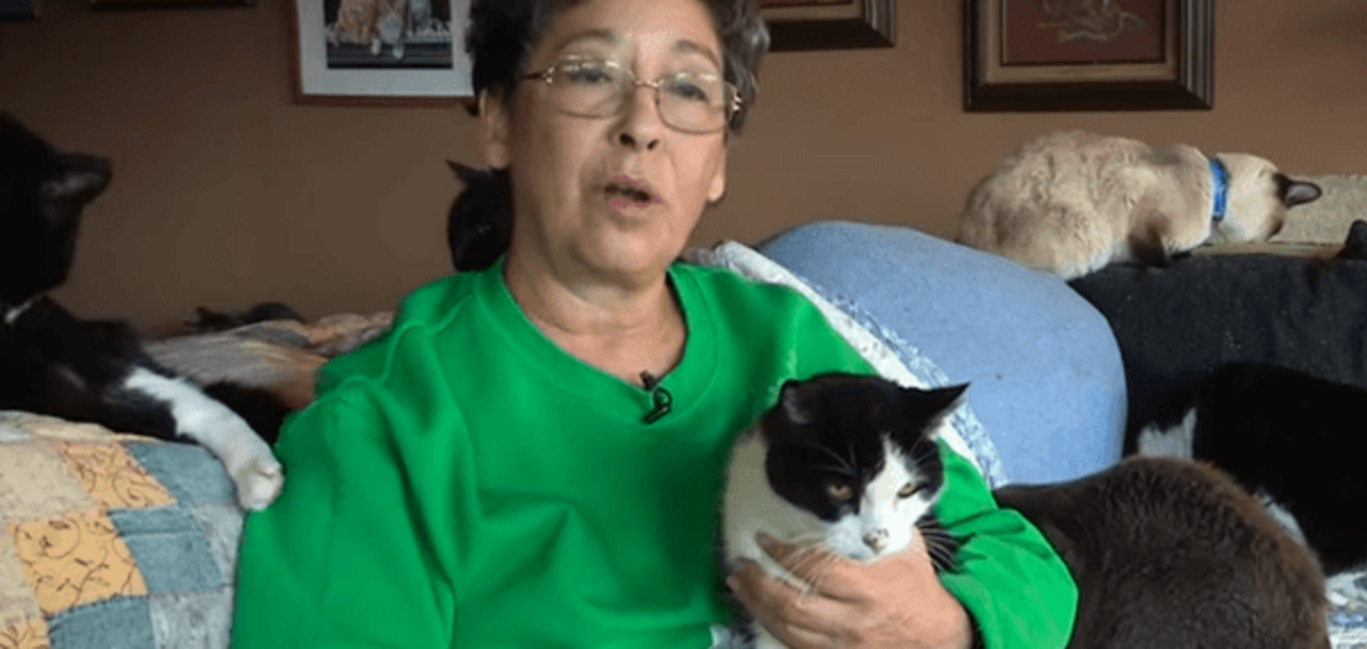 В США пенсионерка живет дома с 1100 кошками: видеофакт