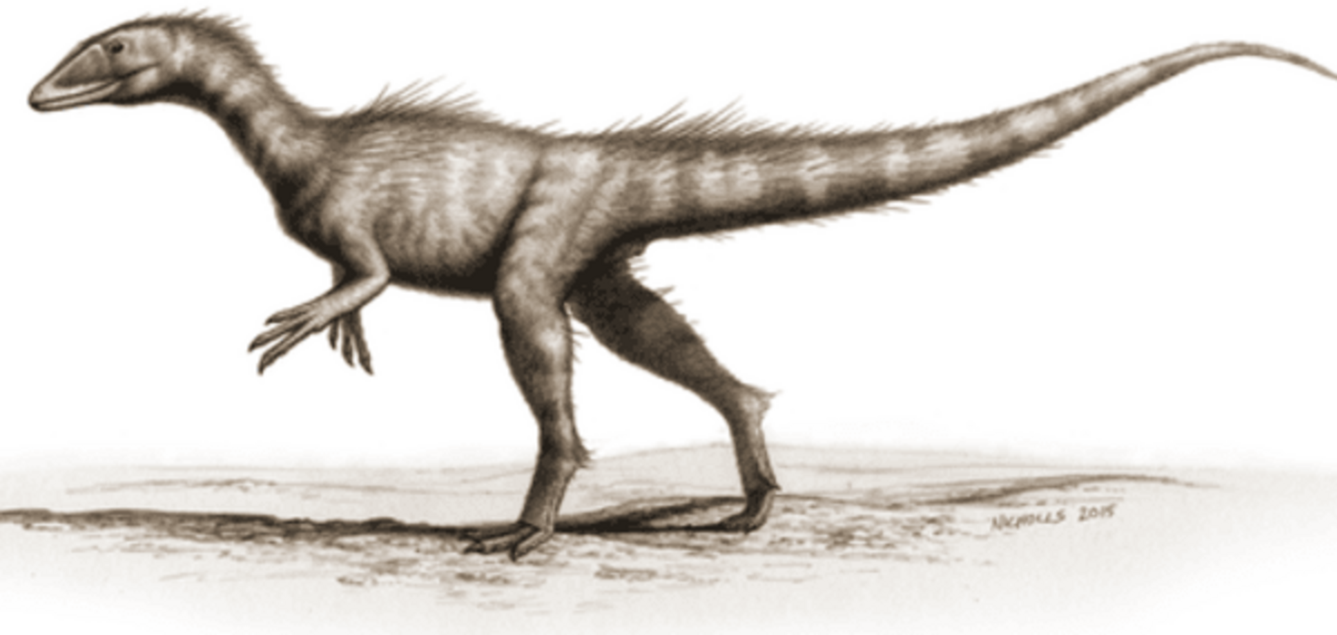 Ученые нашли останки неизвестного хищного чудовища: опубликованы фото