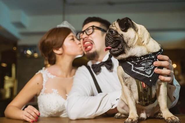 Счастье молодым: опубликованы смешные свадебные фото со всего мира