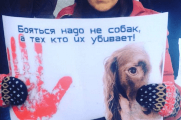 'Боятися треба не собак': в окупованому Донецьку вийшли на протест