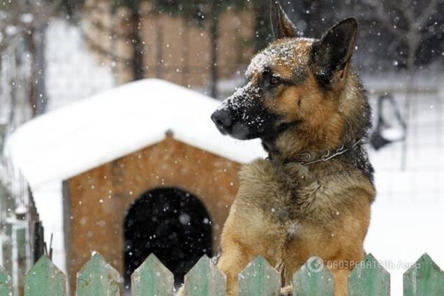 Ледниковый период: на выходных в Украине похолодает до -29°C