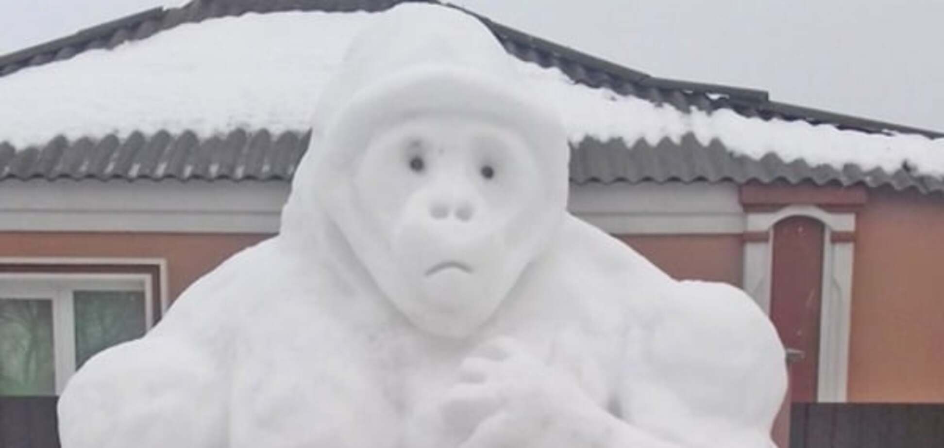 На Киевщине слепили из снега огромного Кинг-Конга: опубликовано фото