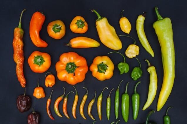 Фотограф, который любит красоту и порядок: успокаивающие снимки