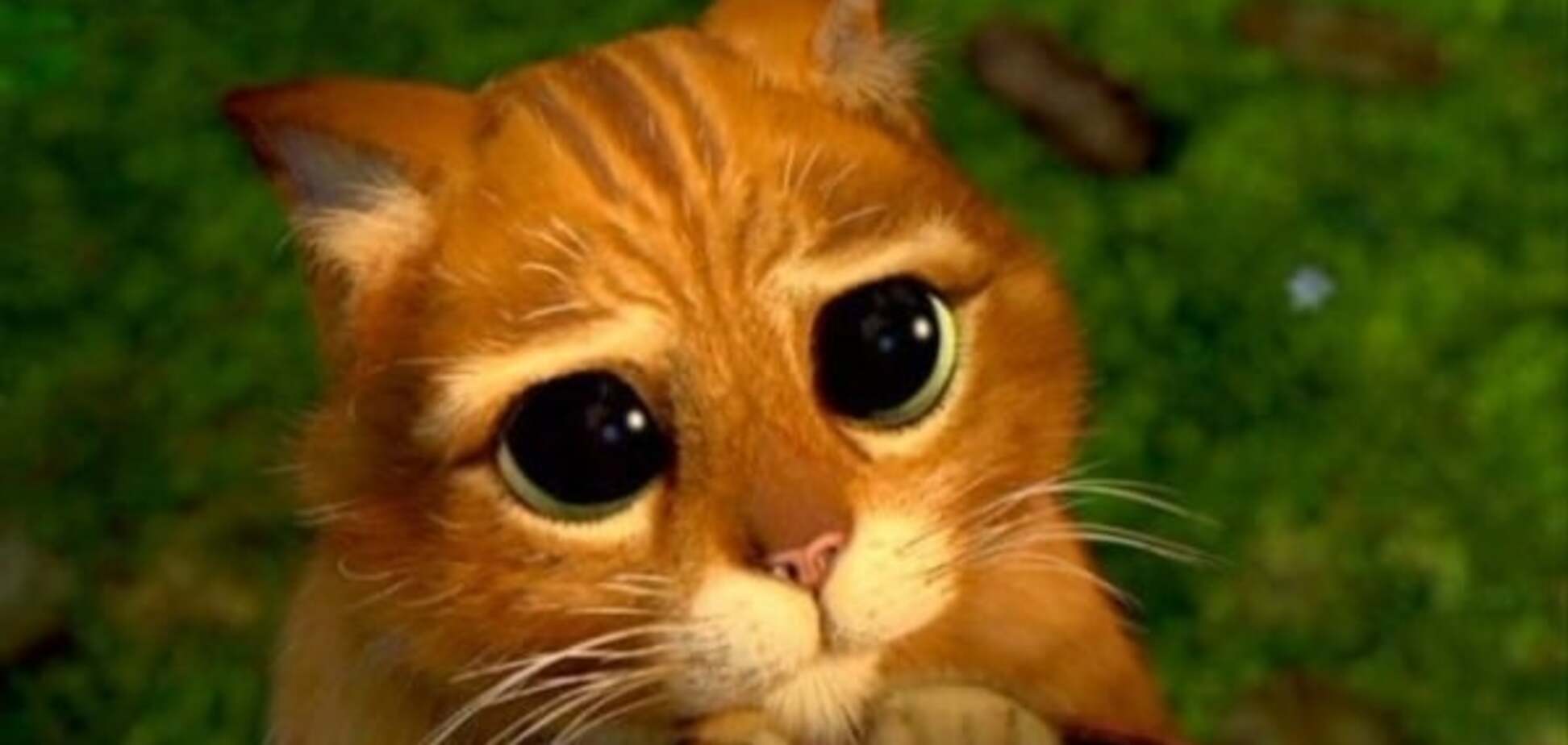 Эксперт считает, что Лагард удалось убедить с помощью взгляда кота из 'Шрэка'