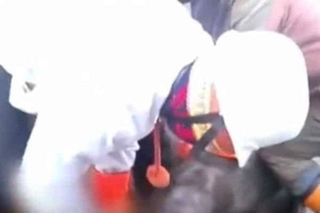 В России рыбаки отрезали морду морскому льву ради 'трофеев': видео 18+