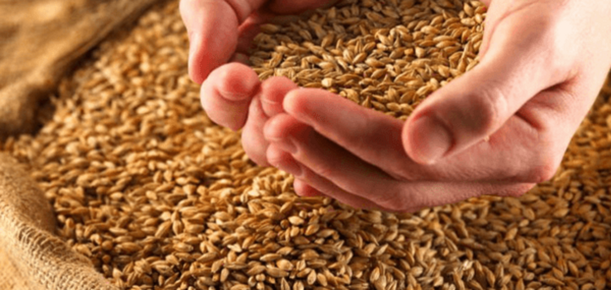 Гендиректор групи компаній ТІС: здійснення дерегуляції на зерновому ринку - головна заслуга Мінагрополітики