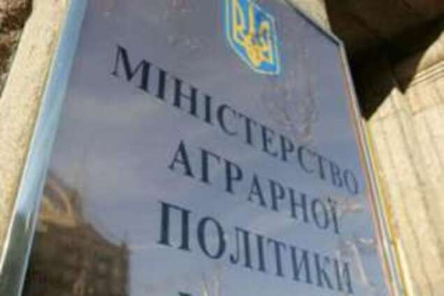 Сегодня нельзя прервать конструктивный диалог с Минагрополитики - президент 'Громади рибалок України'