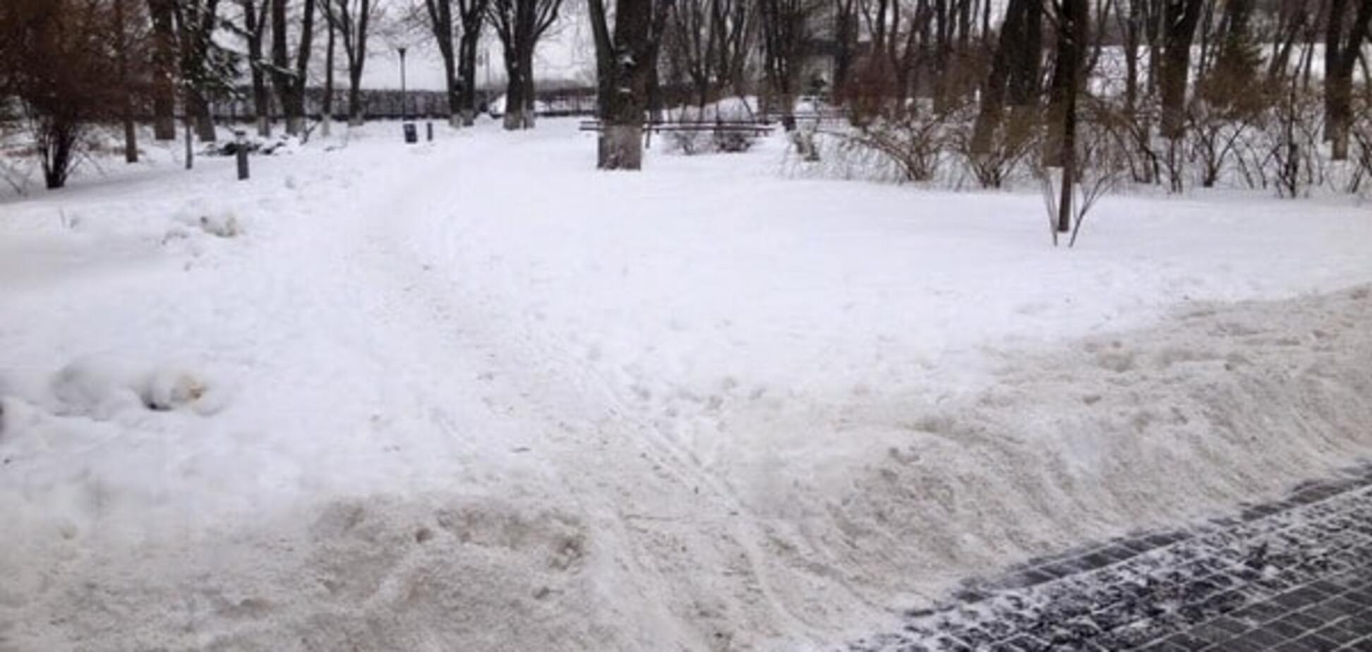 В киевском парке 'оригинально' убрали снег: опубликованы фото
