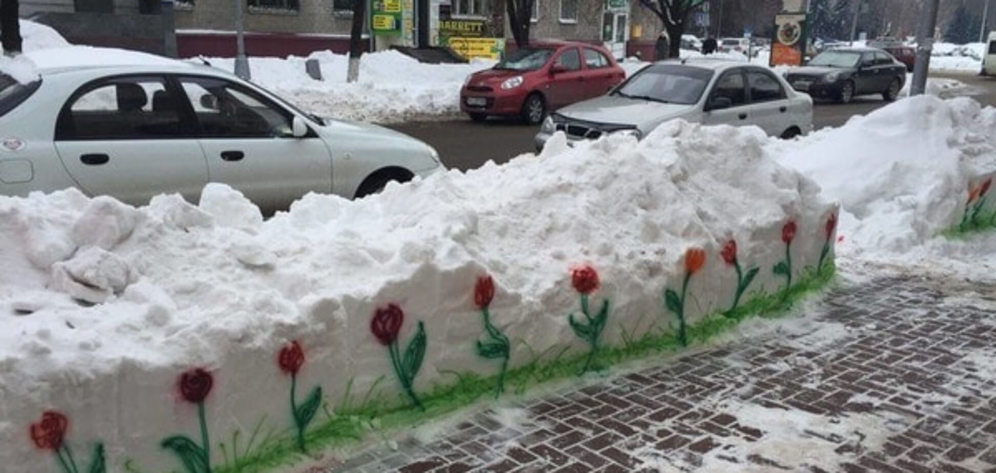 Цветы на снегу: в Кременчуге посреди зимы 'распустились' тюльпаны. Фотофакт