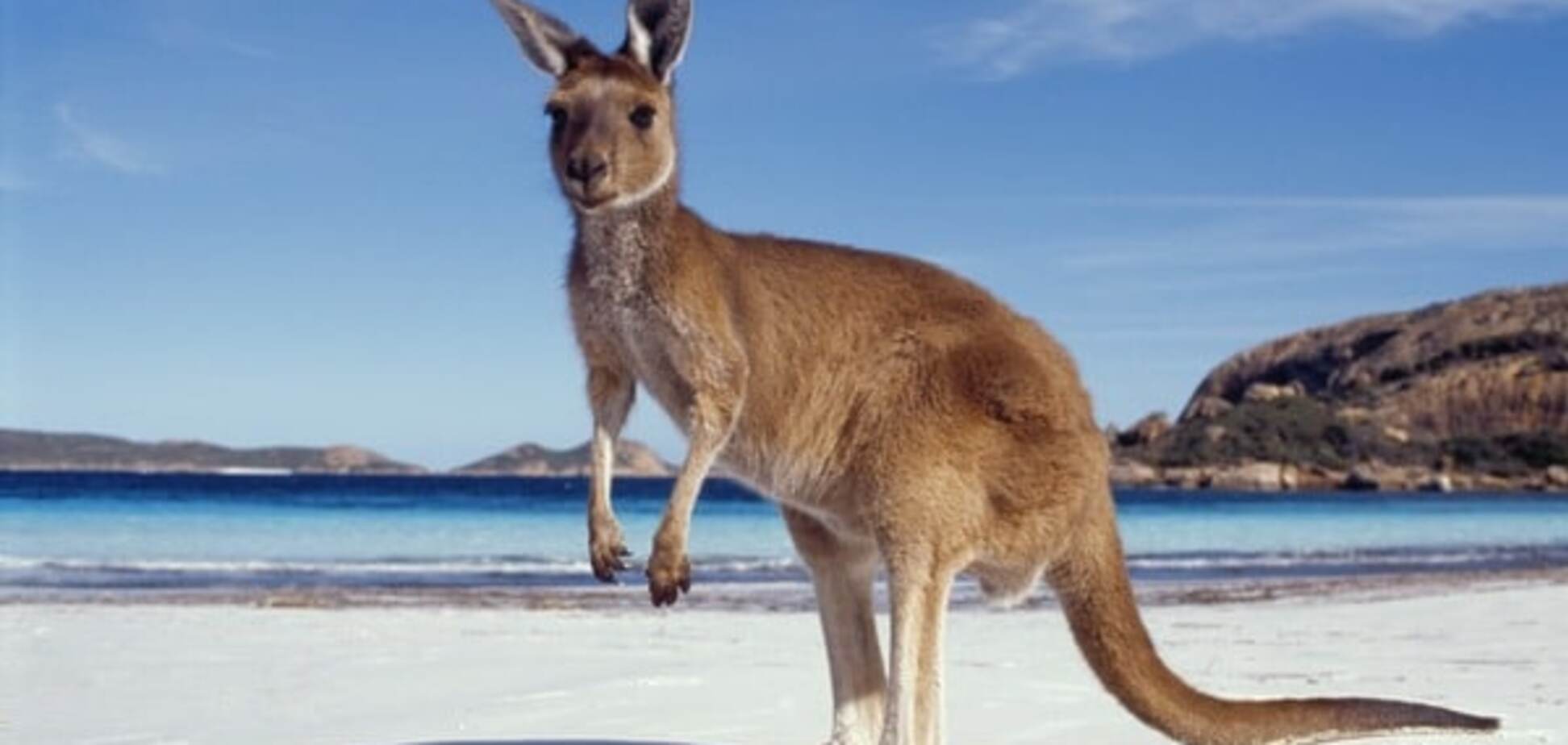 Зеленый континент: 20 удивительных фактов об Австралии
