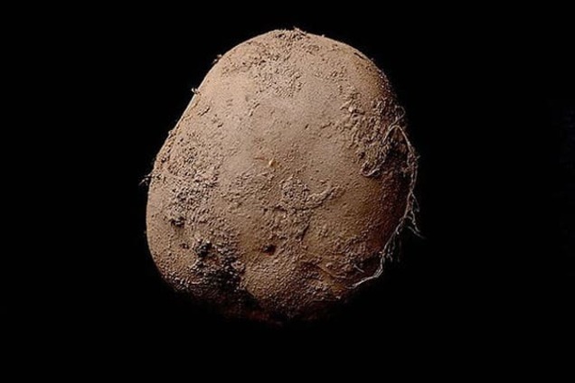 Фотограф из Ирландии продал снимок картошки за 1 млн евро