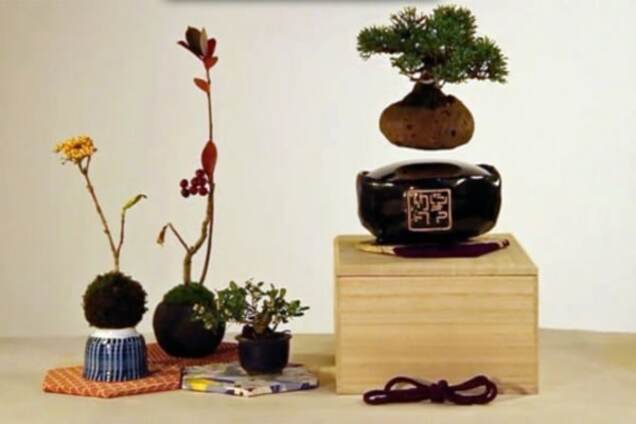 У Японії створили літаючі живі дерева: відеофакт