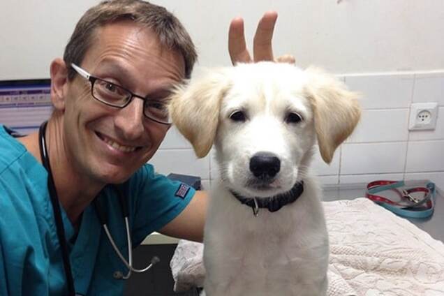 Ветеринары и их пушистые пациенты: 20 трогательных фото со всего мира