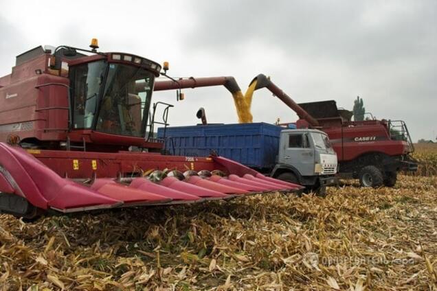 Российский экономист: Украина должна стать лучшей в Европе по агробизнесу