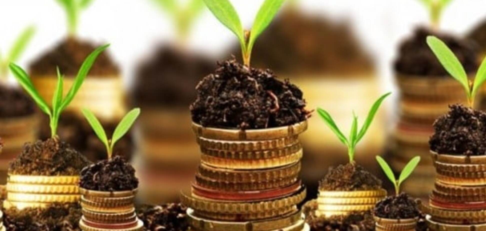 В Аграрном фонде рассказали о прибыли за 2015 год