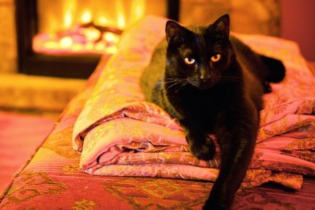 Как понять, что в доме плохая энергетика: опасные признаки и методы очищения