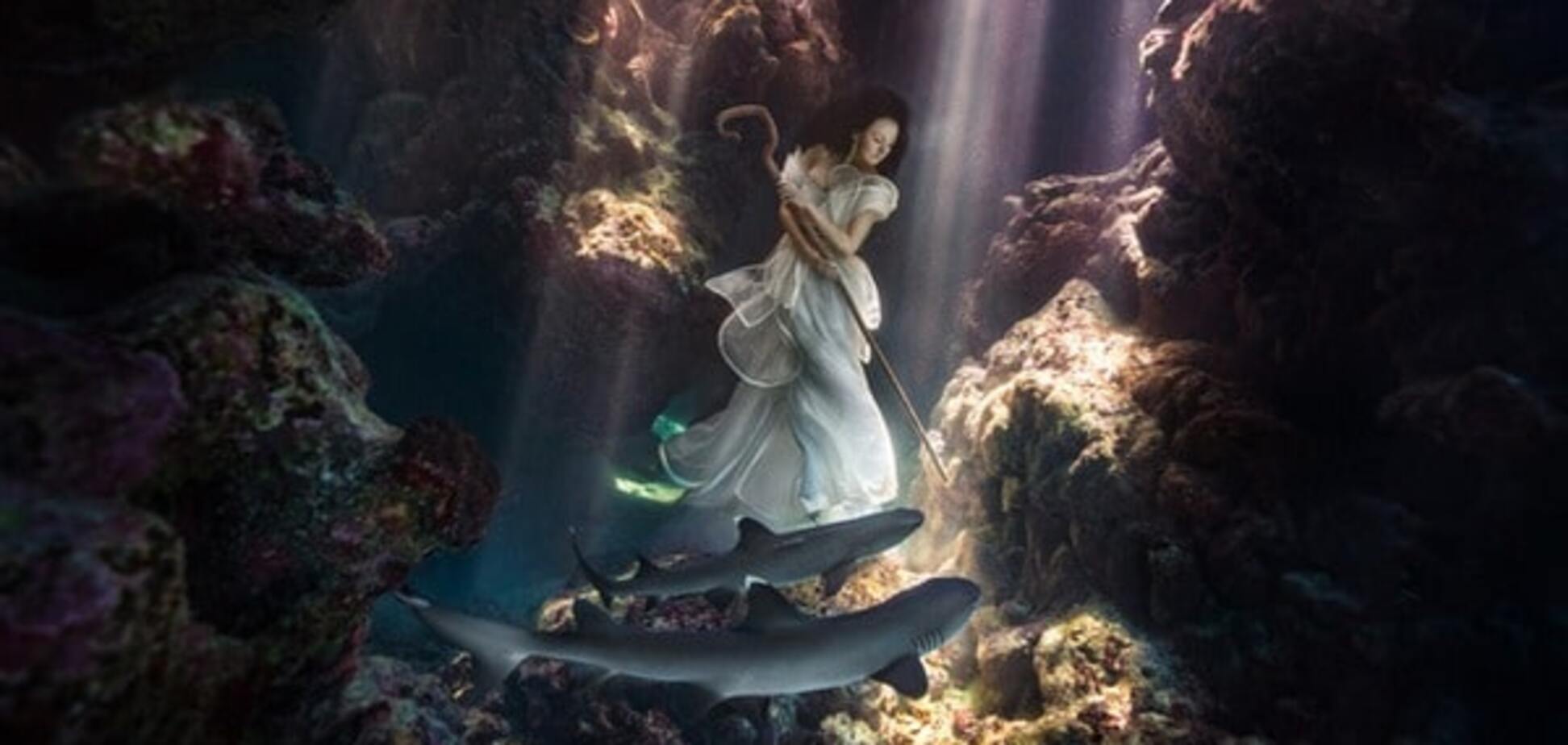 Девушка и акулы: невероятная фотосессия покорила интернет