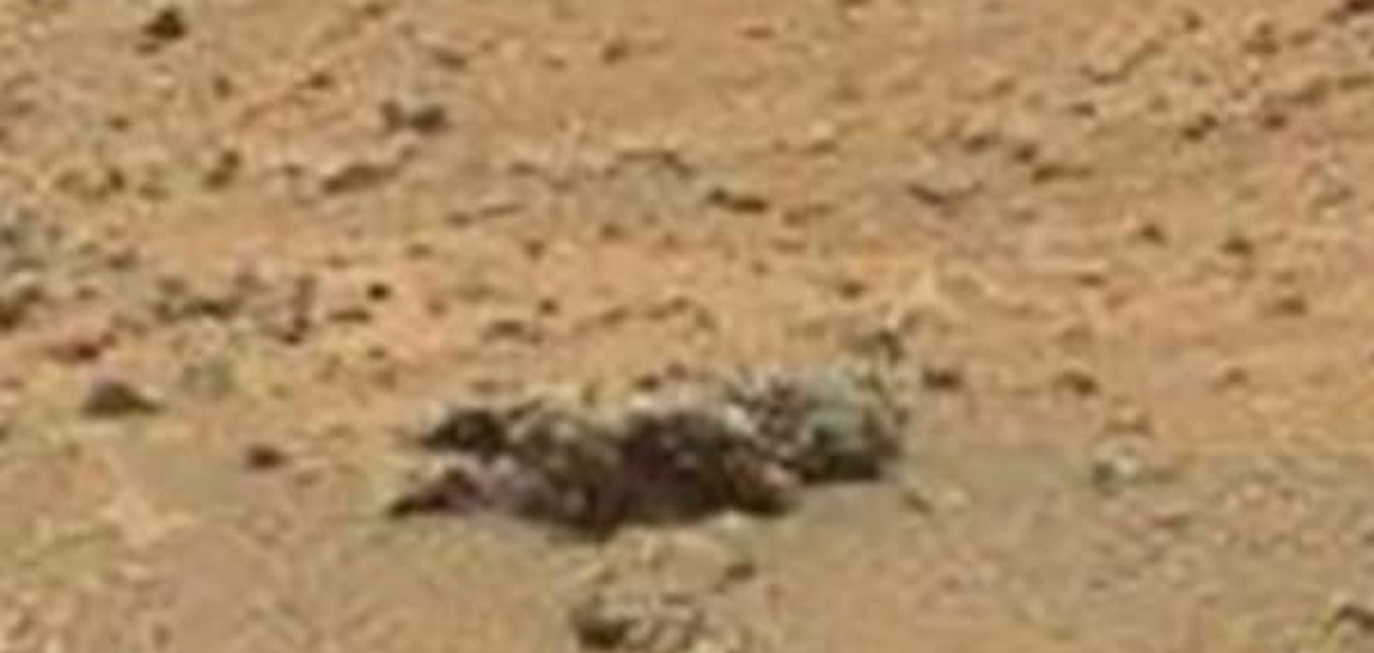 Есть ли жизнь на Марсе? Среди скал Красной планеты увидели труп ребенка: видеофакт