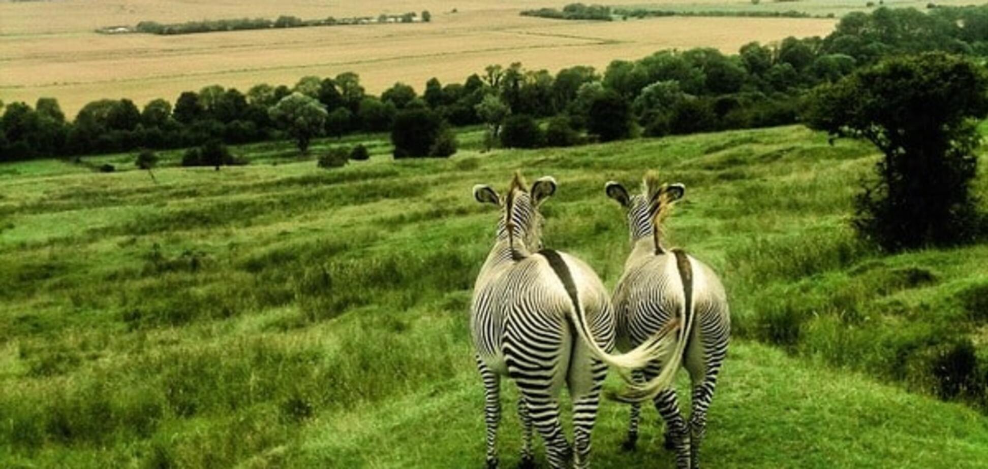 Волшебный мир: National Geographic показало лучшие тревел-фото года