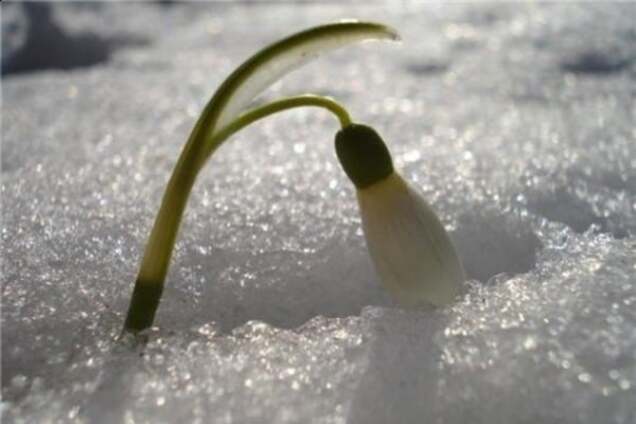 Оттепель: украинцев ждет феноменально 'жаркий' февраль