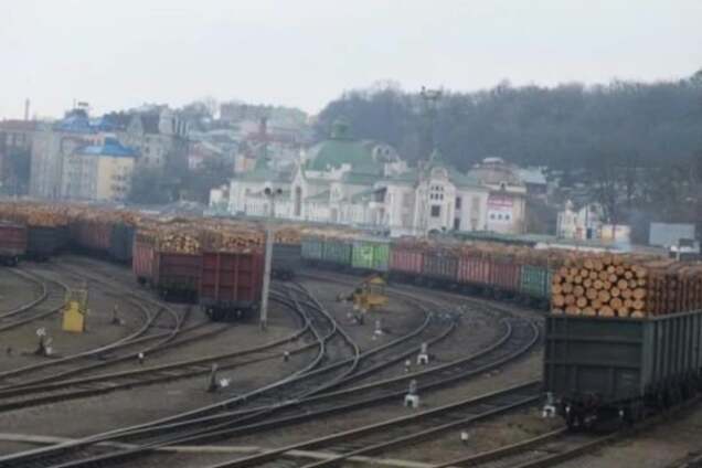 На вотчине Яценюка незаконно вырубают леса: Буковина - на грани экологической катастрофы