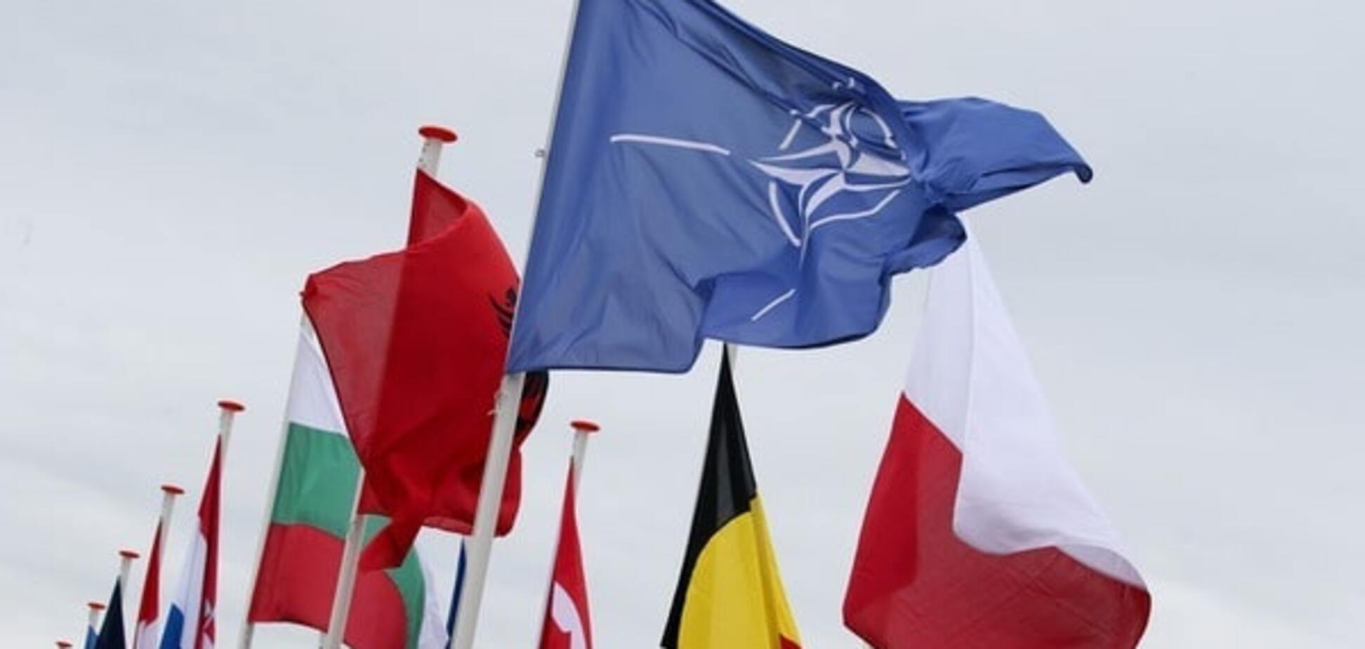 Польша призвала НАТО предложить сотрудничество Украине