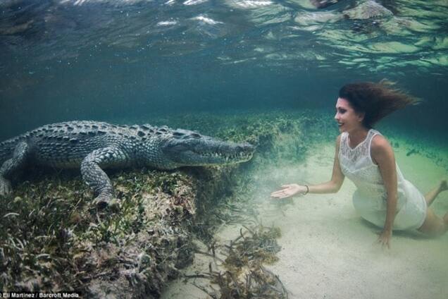 Названы 20 необычных фото, которые взорвали интернет в 2015 году