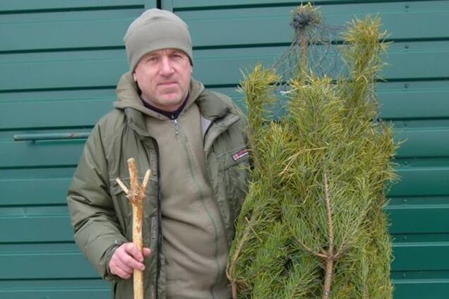 Для оленей Януковича: ненужные елки можно сдать в зоопарк Межигорья