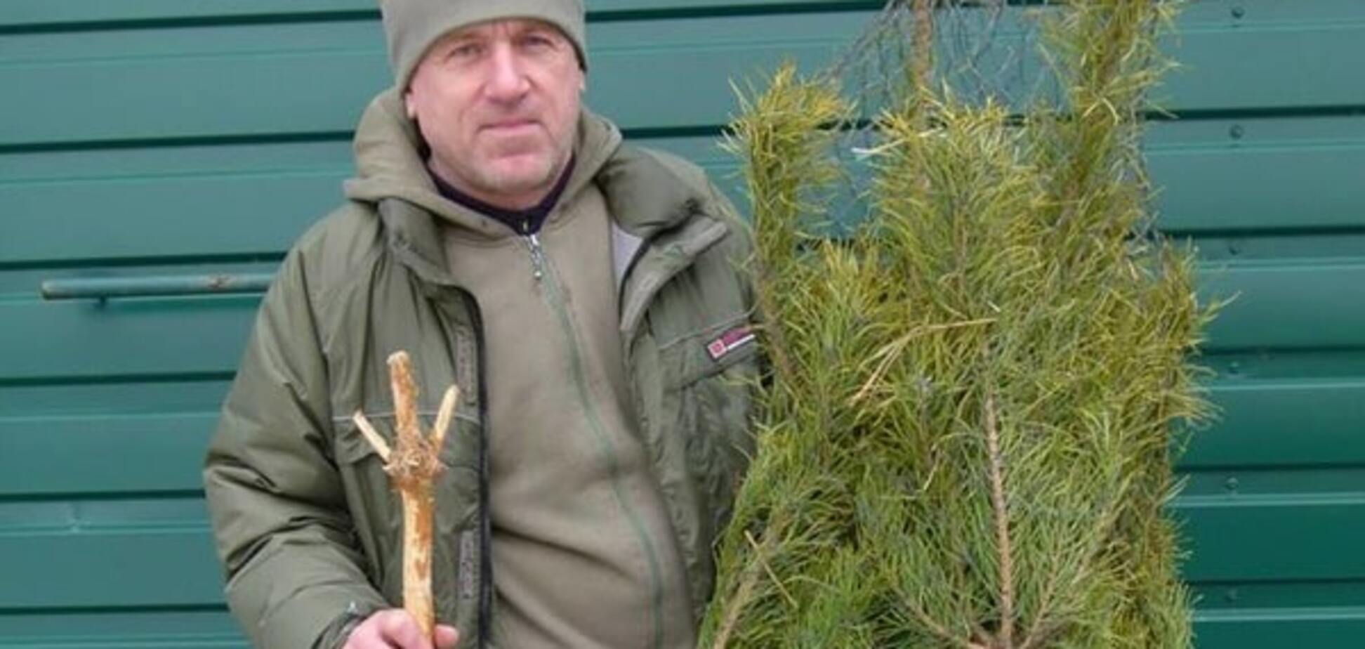 Для оленей Януковича: ненужные елки можно сдать в зоопарк Межигорья 