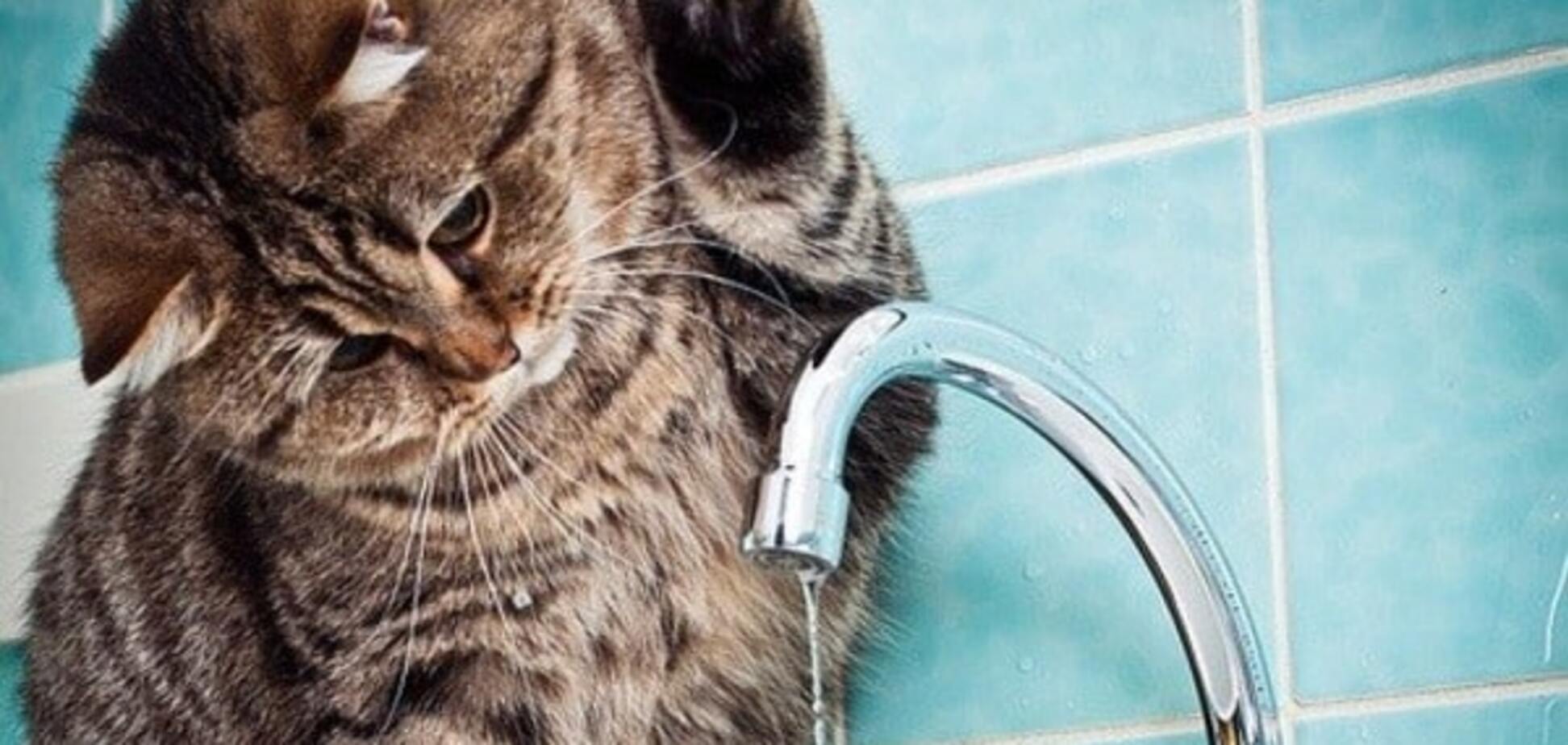 Ни помыться, ни похмелиться: жителей Луганщины чуть не оставили без воды