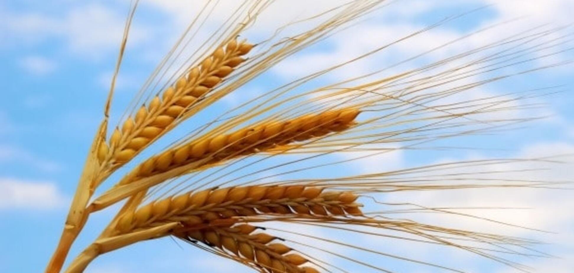 'Аграрний фонд' може вийти на новий ринок