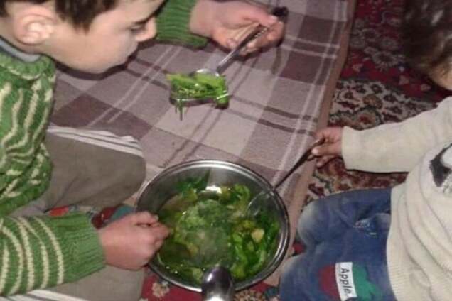 В Сирии в окруженном армией Асада городе начался голод: едят траву