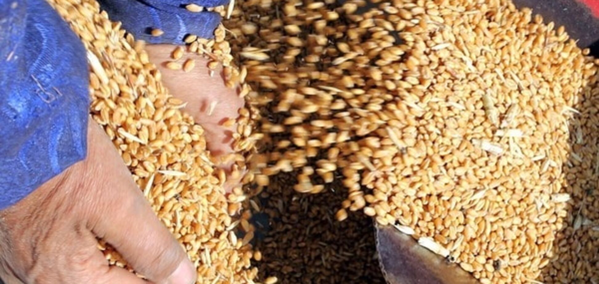 'Вот такой Техас': на Кировоградщине рейдеры с оружием воруют зерно