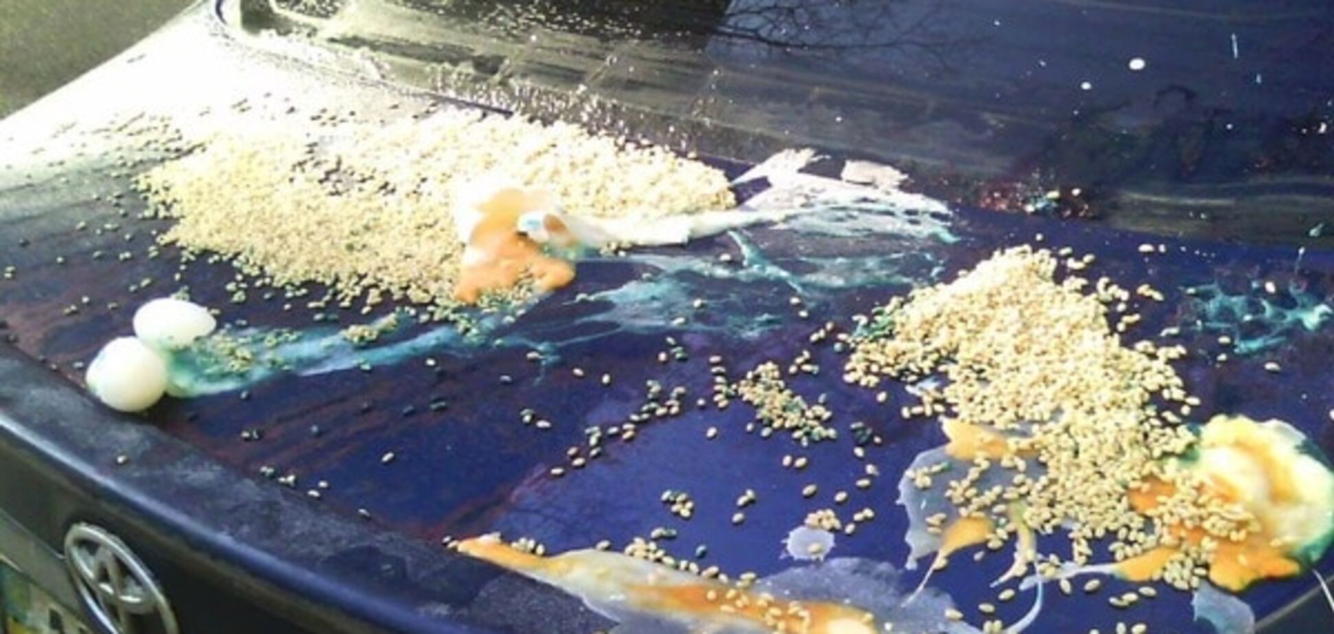 Зеленка, клей и яйца: киевляне жестоко проучили 'героя парковки', опубликованы фото