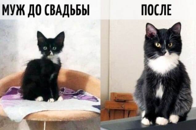 До и после свадьбы: забавные фото о том, как меняется жизнь холостяка