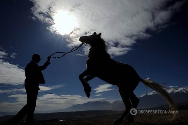 Топ-10 древних животных, которые 'спасли' человека от вымирания