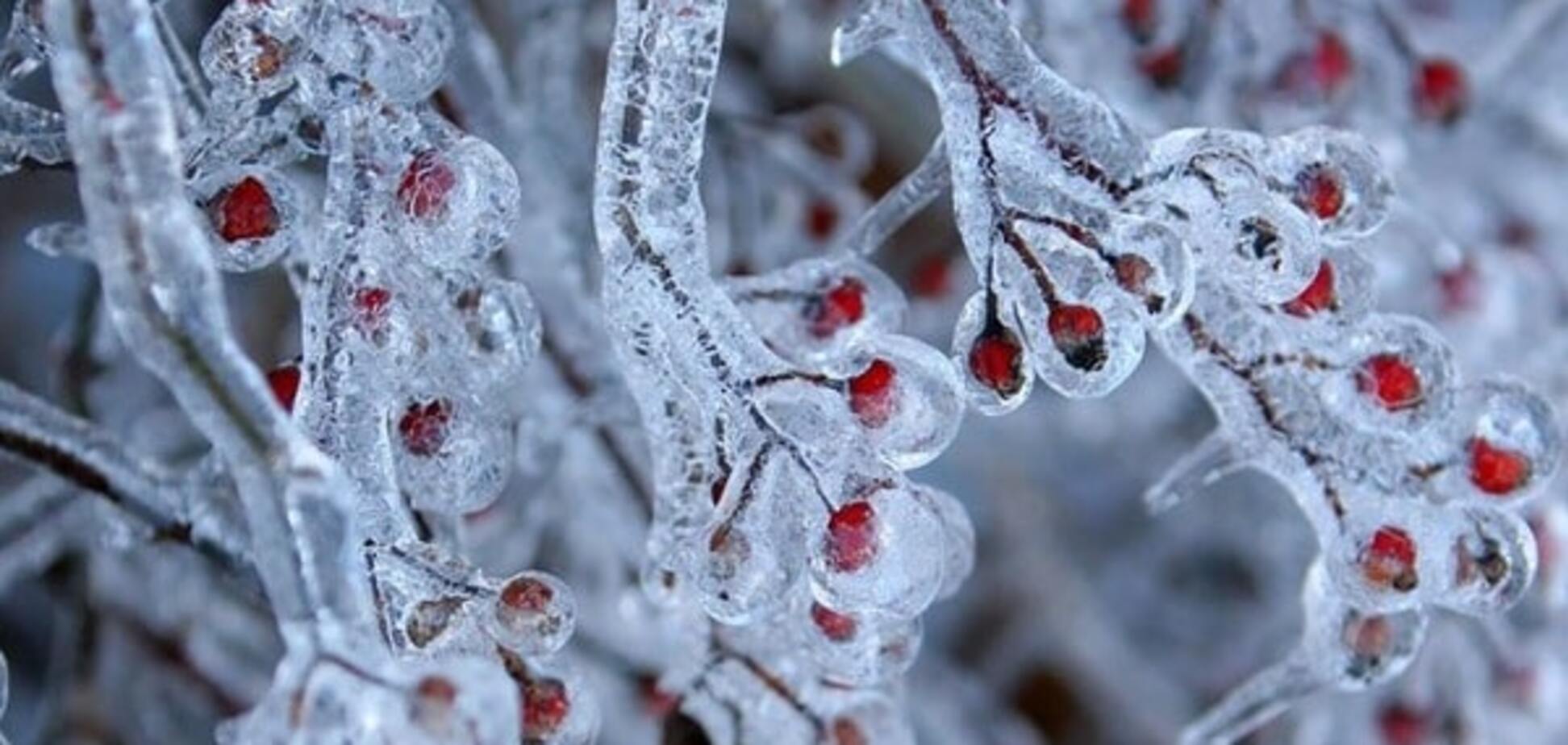 Созданные природой: завораживающие фото ледяных скульптур и узоров