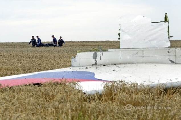 Автор доклада по MH17 рассказал, за что сбили 'Боинг' на Донбассе