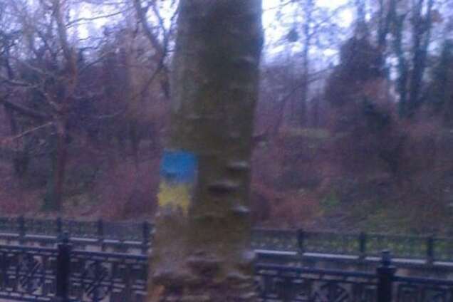 'Назло оркам': парк Симферополя украсили флагами Украины. Фотофакт